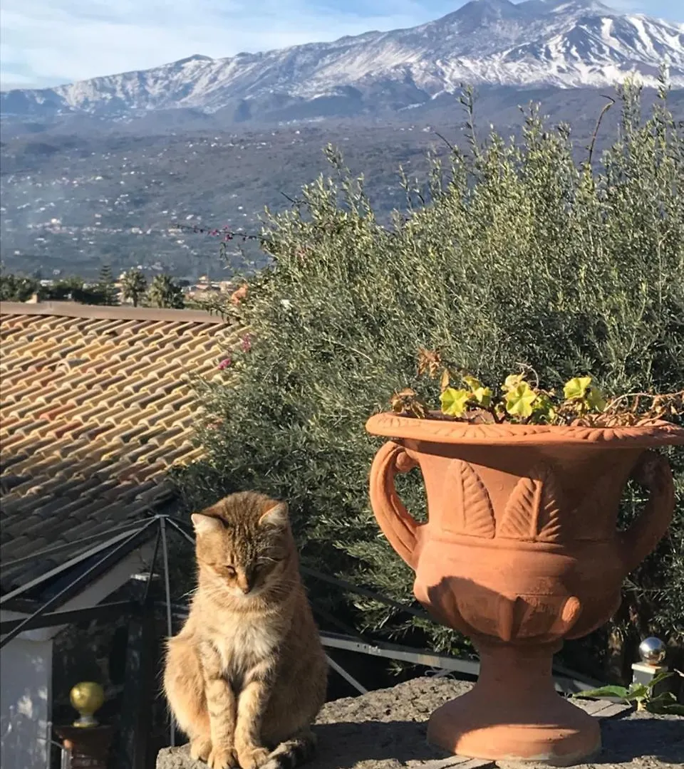 Borgo San Biagio Villa Calatabiano